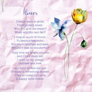 Daphne's Diary poem Flower