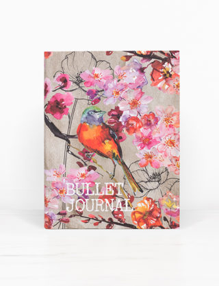 Daphne’s Diary Bullet Journal