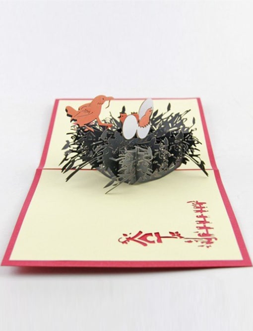 Daphne's Diary 3D pop up kaart ‘Geboorte nest’