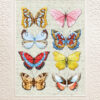 Deaphne`s Diary Poster ‘Schmetterlinge’