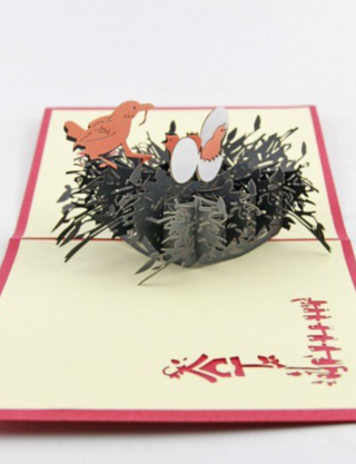 Daphne's Diary 3D pop up kaart ‘Geboorte nest’