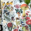 Daphne's Diary Autocollants 'Fleurs plantes et champignons vintage'