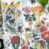 Daphne's Diary Stickers ‘Vintage bloemen, planten en paddenstoelen’