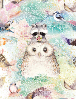 Daphne's Diary Poster 'Owl - Racoon'