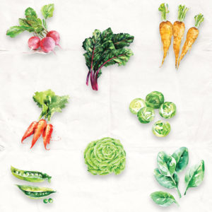 Daphne's Diary 10 Gemüsesorten, die Sie im März in Ihrem Garten aussäen können