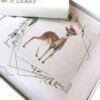 Daphne's Diary Postcards 'Christmas deer'