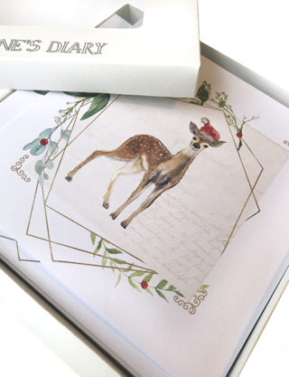 Daphne's diary Set de cartes 'Cerf de Noël'