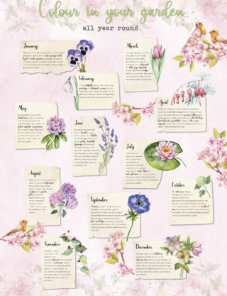 Flower Poster colour your garden all year round