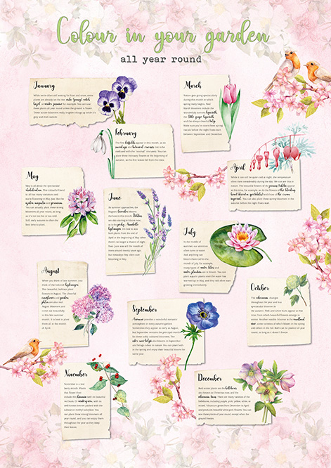 Flower Poster colour your garden all year round