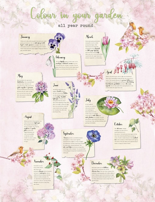 Daphne's Diary Poster ‘Colour in your garden’