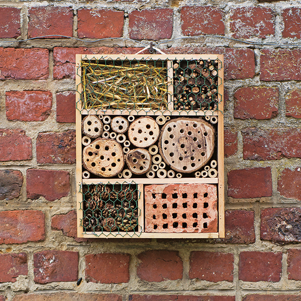 insectenhotel ophangen