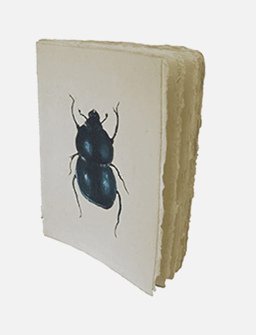 Daphne's Diary Notitieboek ‘Beetle blue’ A5
