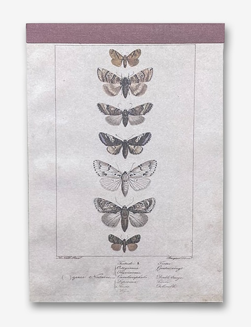Daphne's Diary Vintage scrapbook paper butterflies