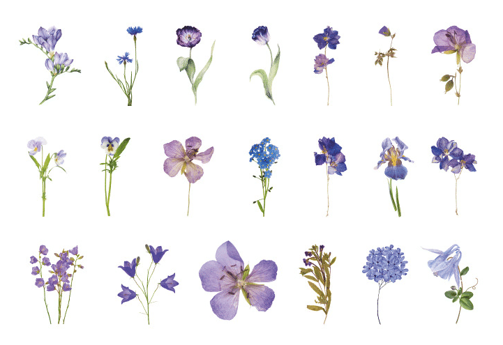 Stickers 'purple flowers