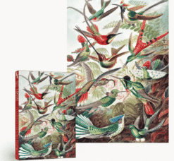 Alternative view of Puzzle 'Colibris' 1000 pièces