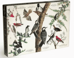 Puzzle 'Birds of Audubon' 1000 pieces