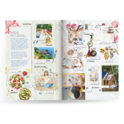 Alternative view of Daphne’s Diary 06-2024 English