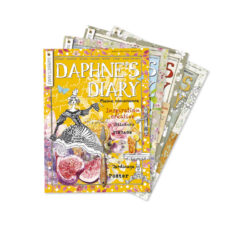 Alternative view of Daphne's Diary Pack vacances 2024 - Numéro 5 jusqu'à 8