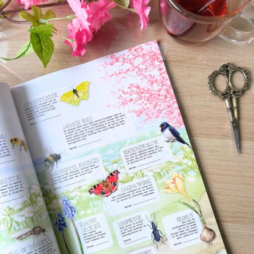 Daphne’s Diary 02-2026 English - Image 6