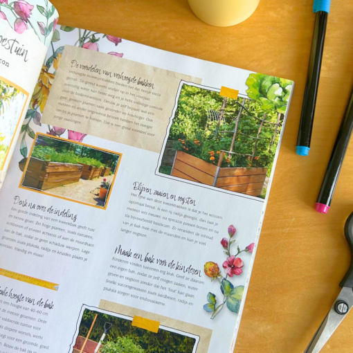 Daphne’s Diary 03-2026 English - Image 6