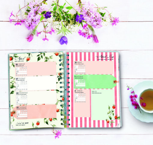 Daphne's Diary Agenda 2027 – Image 8