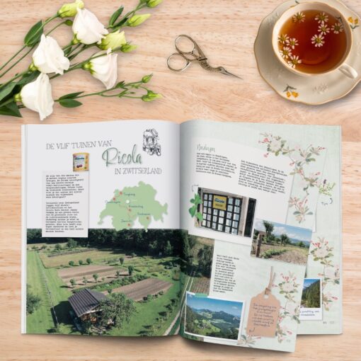 Daphne's Diary 07-2026 Nederlands - Afbeelding 6